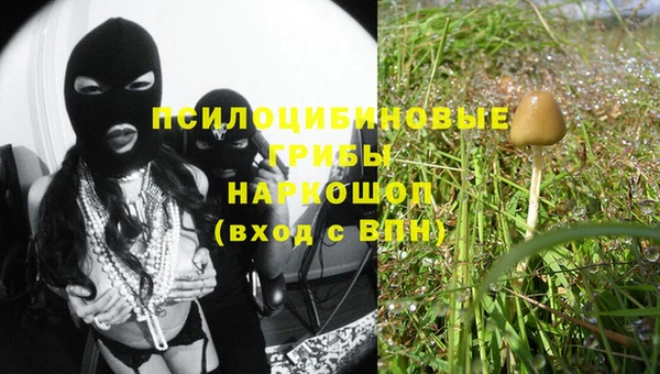 Альфа ПВП Абаза