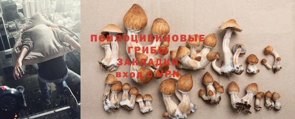 MDMA Абинск